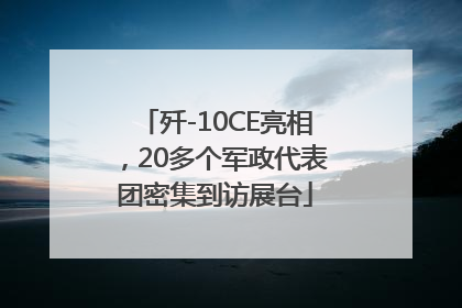 歼-10CE亮相，20多个军政代表团密集到访展台
