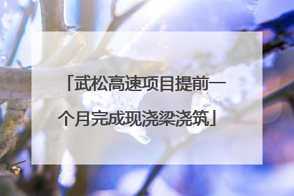 武松高速项目提前一个月完成现浇梁浇筑