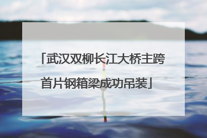 武汉双柳长江大桥主跨首片钢箱梁成功吊装