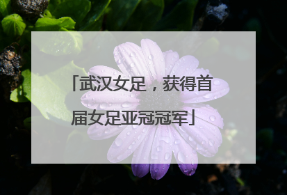 武汉女足，获得首届女足亚冠冠军