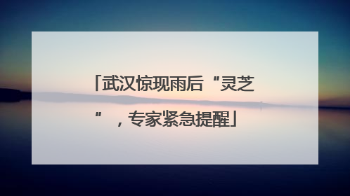 武汉惊现雨后“灵芝”，专家紧急提醒