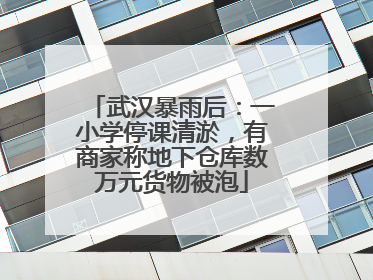 武汉暴雨后：一小学停课清淤，有商家称地下仓库数万元货物被泡