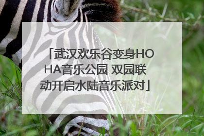 武汉欢乐谷变身HOHA音乐公园 双园联动开启水陆音乐派对