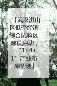 武汉洪山区低空经济综合试验区建设启动，“1+4+1”产业布局初现
