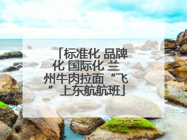 标准化 品牌化 国际化 兰州牛肉拉面“飞”上东航航班