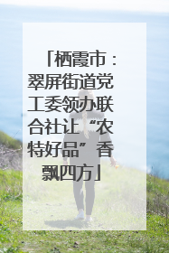 栖霞市：翠屏街道党工委领办联合社让“农特好品”香飘四方