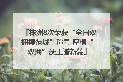 株洲8次荣获“全国双拥模范城”称号 厚植“双拥”沃土谱新篇