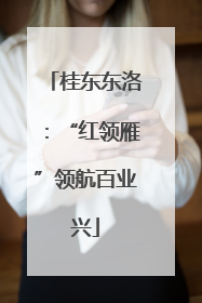 桂东东洛：“红领雁”领航百业兴