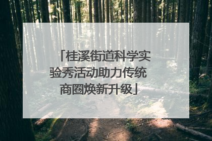 桂溪街道科学实验秀活动助力传统商圈焕新升级
