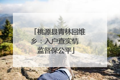 桃源县青林回维乡：入户查实情 监督保公平