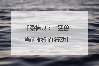 桑植县：“猛兽”当前 他们在行动