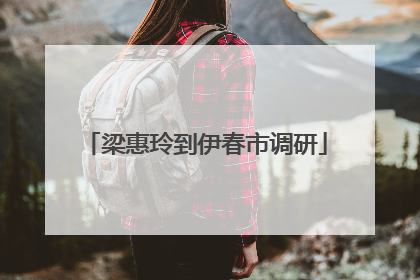 梁惠玲到伊春市调研