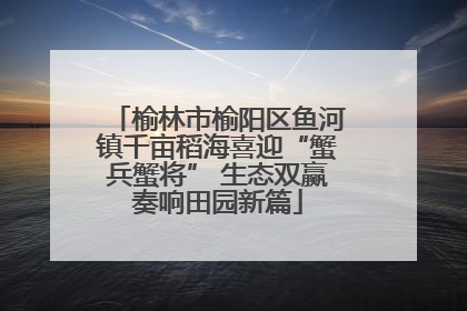 榆林市榆阳区鱼河镇千亩稻海喜迎“蟹兵蟹将” 生态双赢奏响田园新篇