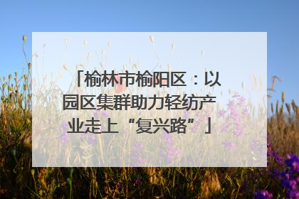 榆林市榆阳区：以园区集群助力轻纺产业走上“复兴路”