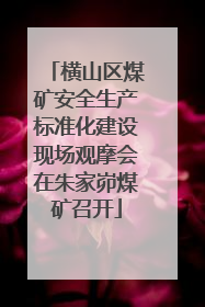 横山区煤矿安全生产标准化建设现场观摩会在朱家峁煤矿召开