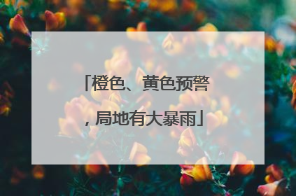 橙色、黄色预警，局地有大暴雨
