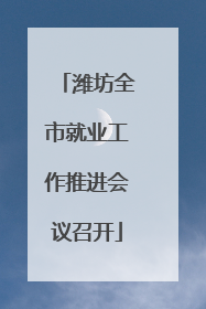 潍坊全市就业工作推进会议召开