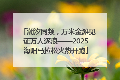 潮汐同频，万米金滩见证万人逐浪——2025海阳马拉松火热开跑