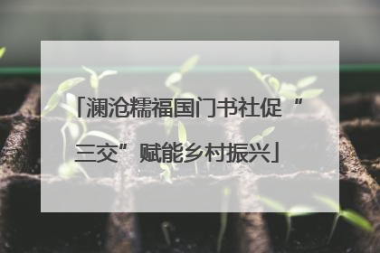 澜沧糯福国门书社促“三交”赋能乡村振兴