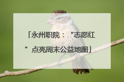 永州职院：“志愿红”点亮周末公益地图