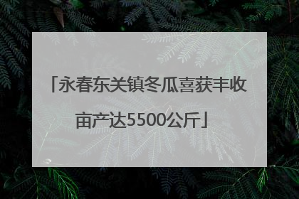 永春东关镇冬瓜喜获丰收 亩产达5500公斤