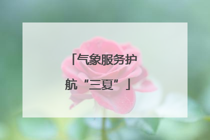 气象服务护航“三夏”