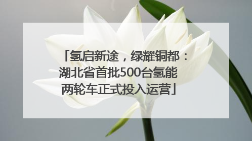 氢启新途，绿耀铜都：湖北省首批500台氢能两轮车正式投入运营