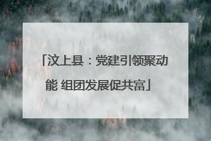 汶上县：党建引领聚动能 组团发展促共富