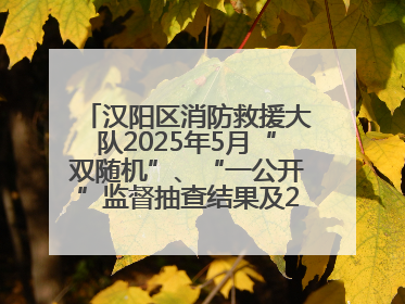 汉阳区消防救援大队2025年5月“双随机”、“一公开”监督抽查结果及2025年6月监督抽查任务公示