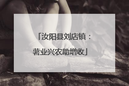 汝阳县刘店镇：薯业兴农助增收