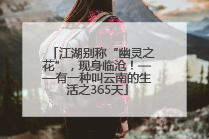 江湖别称“幽灵之花”，现身临沧！——有一种叫云南的生活之365天