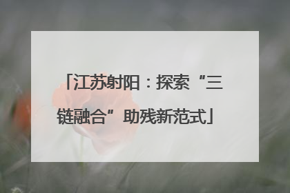 江苏射阳：探索“三链融合”助残新范式