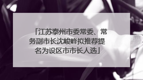 江苏泰州市委常委、常务副市长沈峻峰拟推荐提名为设区市市长人选