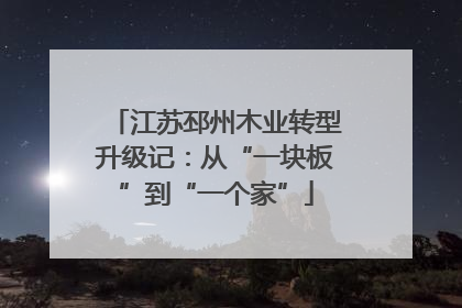 江苏邳州木业转型升级记：从“一块板”到“一个家”