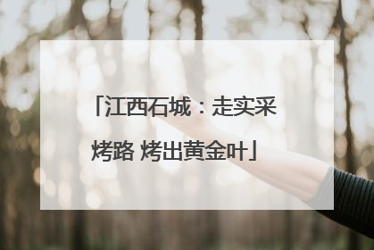 江西石城：走实采烤路 烤出黄金叶