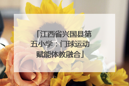 江西省兴国县第五小学：门球运动赋能体教融合