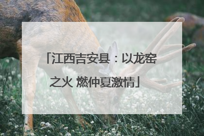 江西吉安县：以龙窑之火 燃仲夏激情