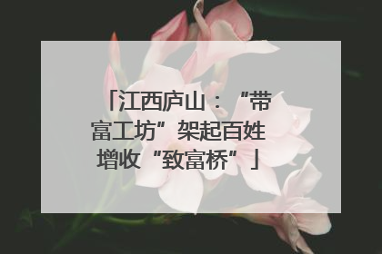 江西庐山：“带富工坊”架起百姓增收“致富桥”