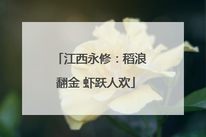 江西永修：稻浪翻金 虾跃人欢