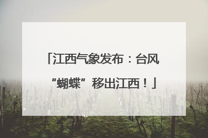江西气象发布：台风“蝴蝶”移出江西！
