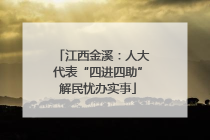 江西金溪：人大代表“四进四助”解民忧办实事