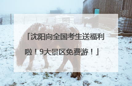 沈阳向全国考生送福利啦！9大景区免费游！