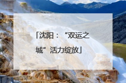 沈阳：“双运之城”活力绽放