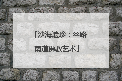 沙海遗珍：丝路南道佛教艺术