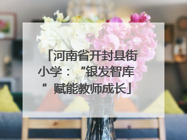 河南省开封县街小学：“银发智库”赋能教师成长