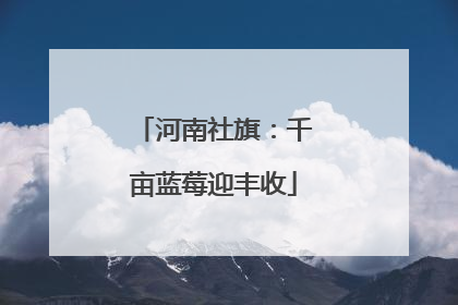河南社旗：千亩蓝莓迎丰收