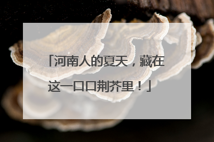 河南人的夏天，藏在这一口口荆芥里！