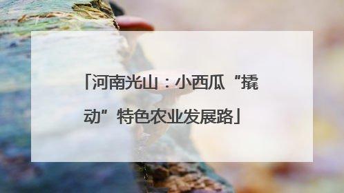 河南光山：小西瓜“撬动”特色农业发展路