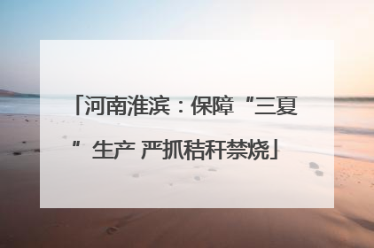 河南淮滨：保障“三夏”生产 严抓秸秆禁烧