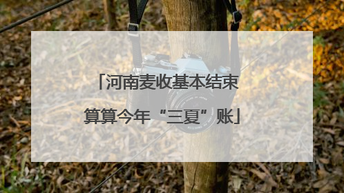 河南麦收基本结束 算算今年“三夏”账
